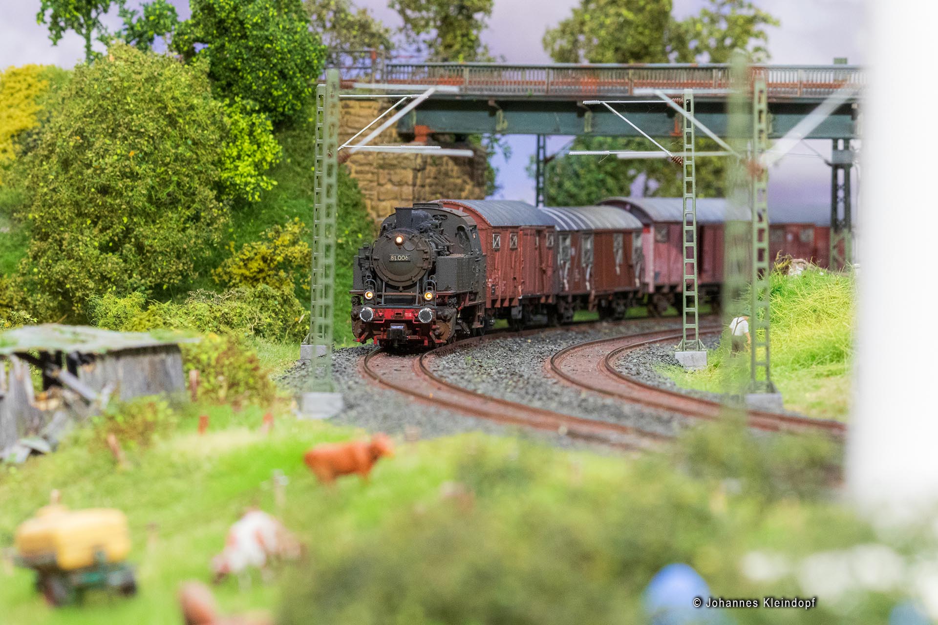 Slideshow Bild 221 von 456