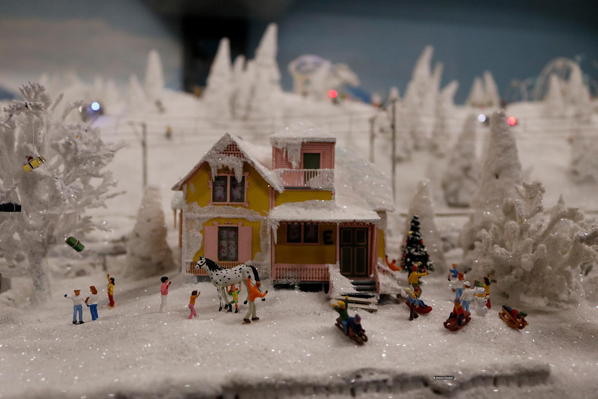 Slideshow Bild 265 von 456