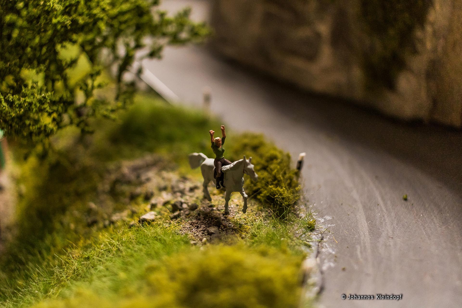 Slideshow Bild 310 von 456