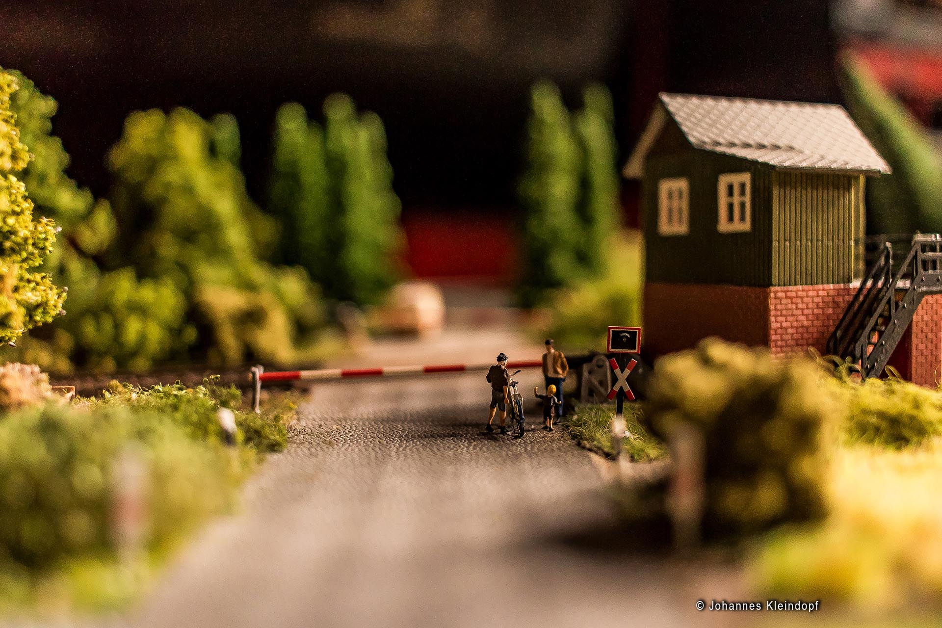 Slideshow Bild 339 von 456