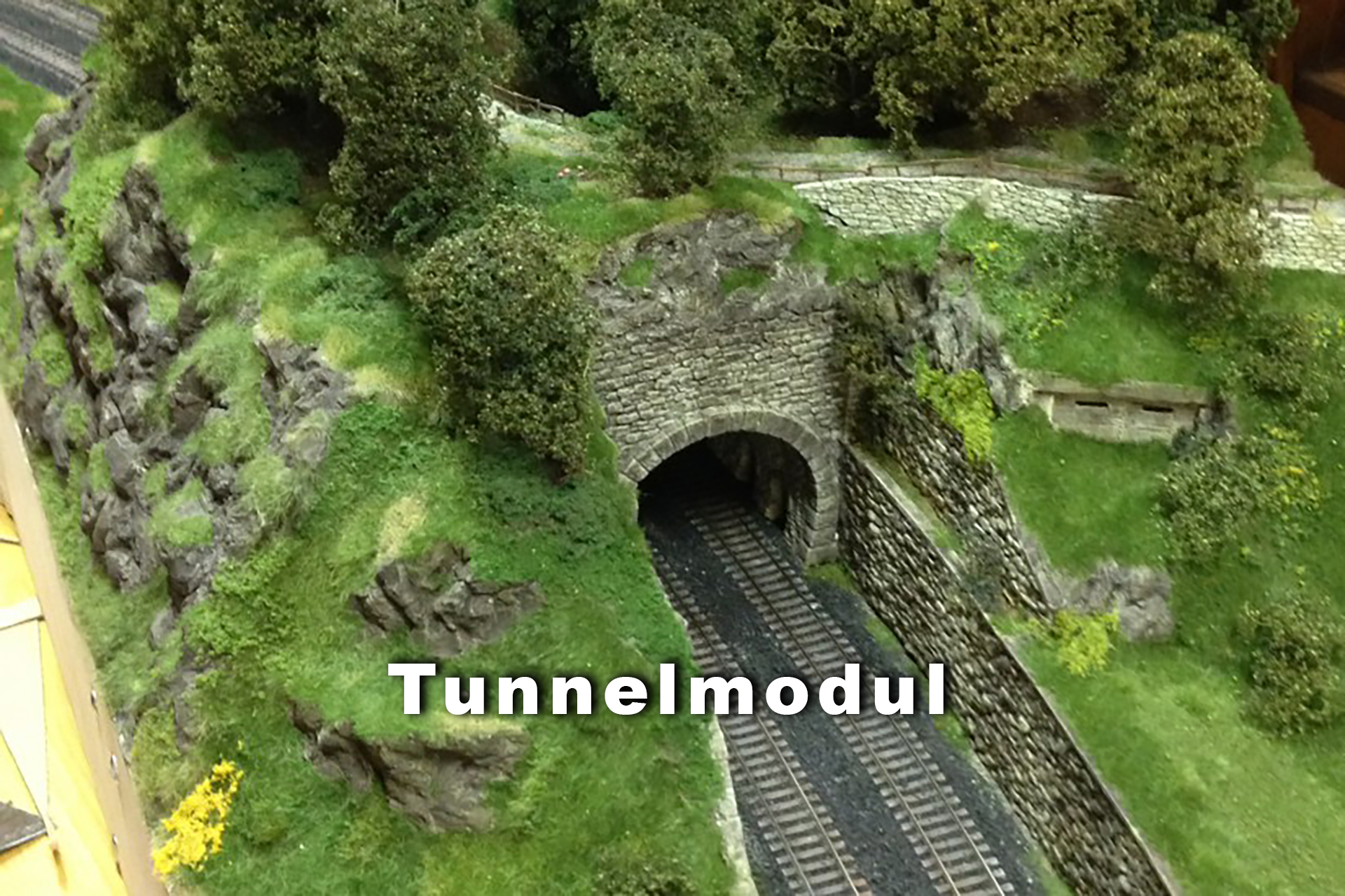 Tunnelmodul